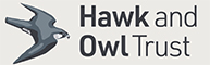 Mobile Logo