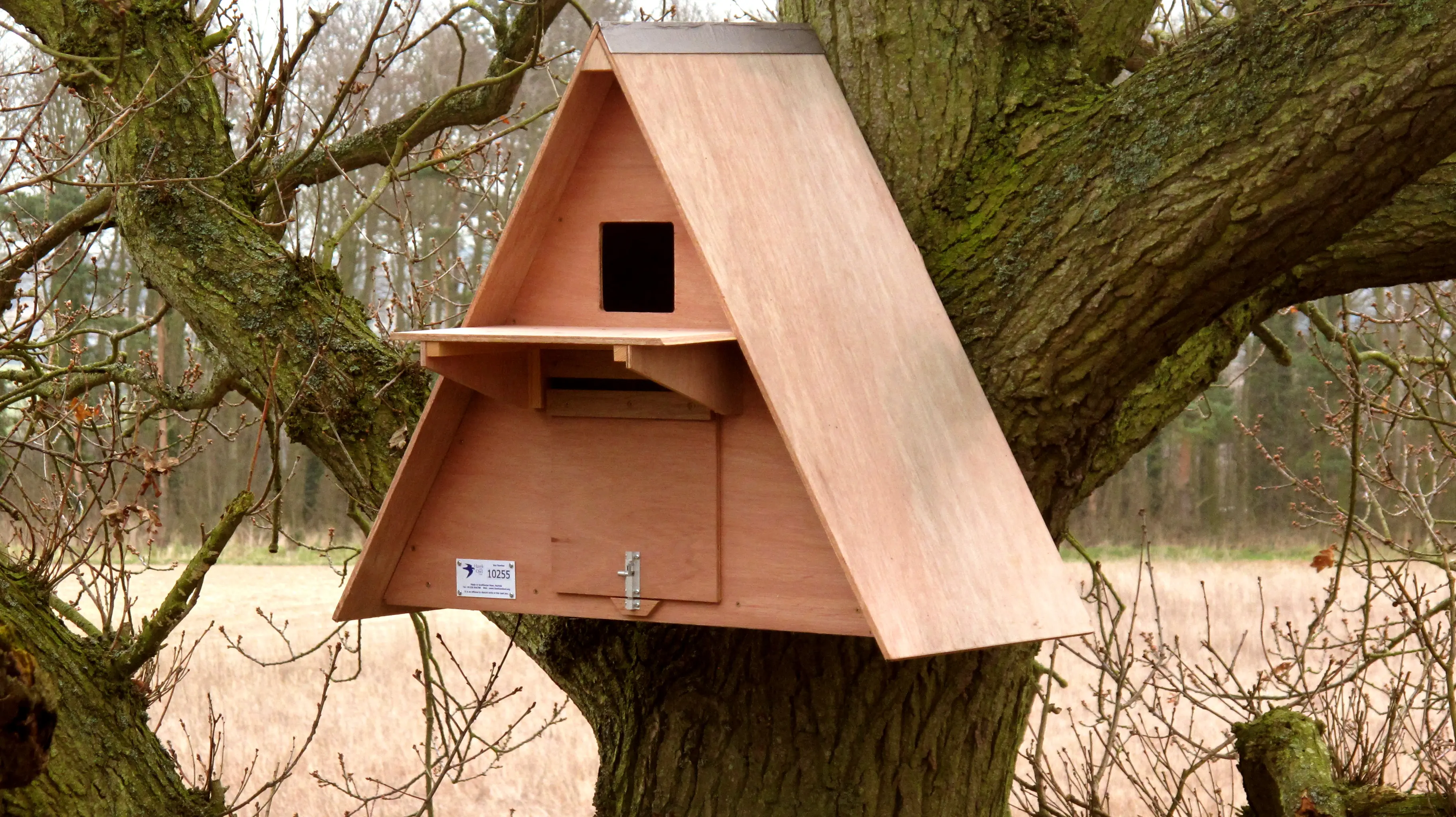 AAB Barn Owl Box